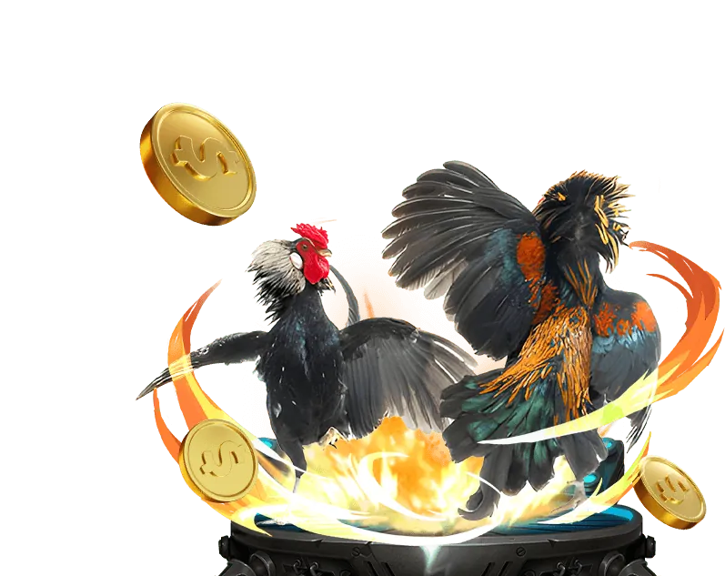 Trò chơi và tính năng mới Jili 178