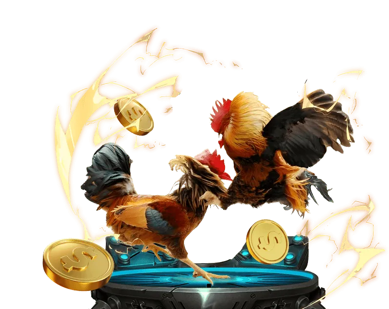 Tổng quan về Jili 178 Update Thể thao